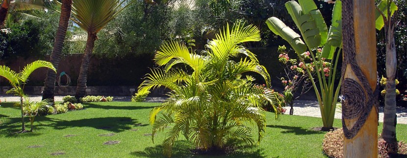 casa-de-luxo-a-venda-busca-vida-resort-14