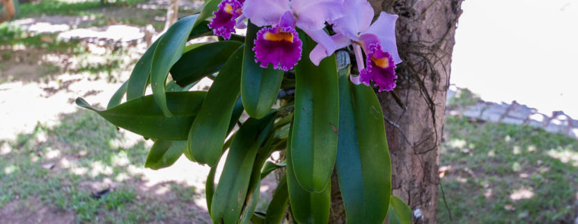 Casa maravilhosa a venda Encontro das Aguas-21