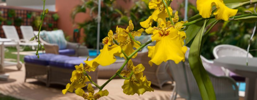 Fantástica casa a venda Guarajuba (15 of 56)