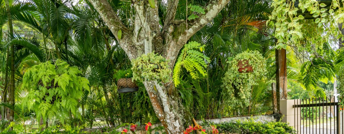 Excelente terreno a venda no condomínio Encontro das Águas (1)