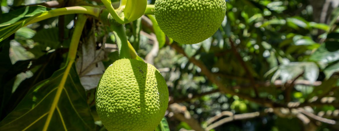 Excelente terreno a venda no condomínio Encontro das Águas (10)